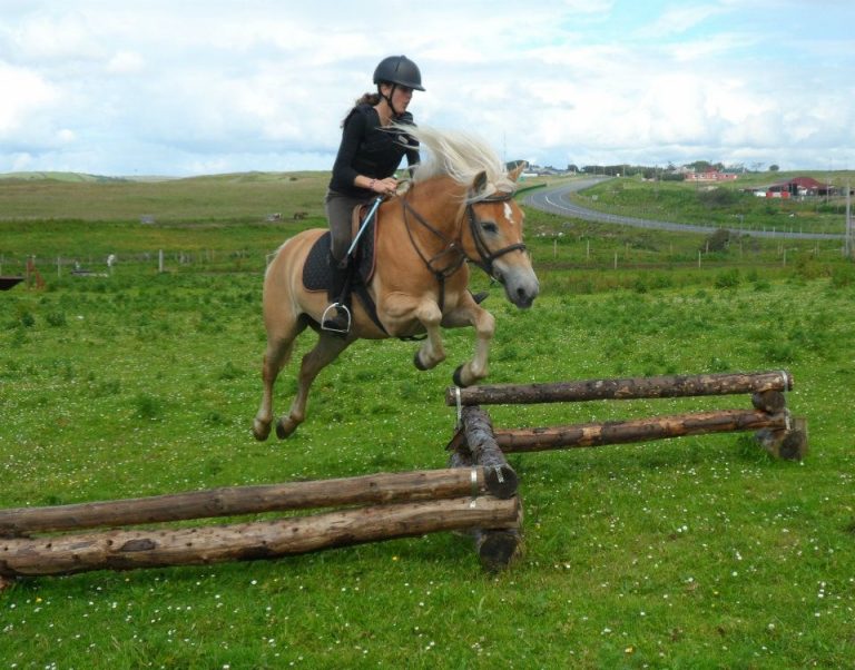 Reiten und Englisch lernen in Irland